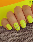 Lime Night